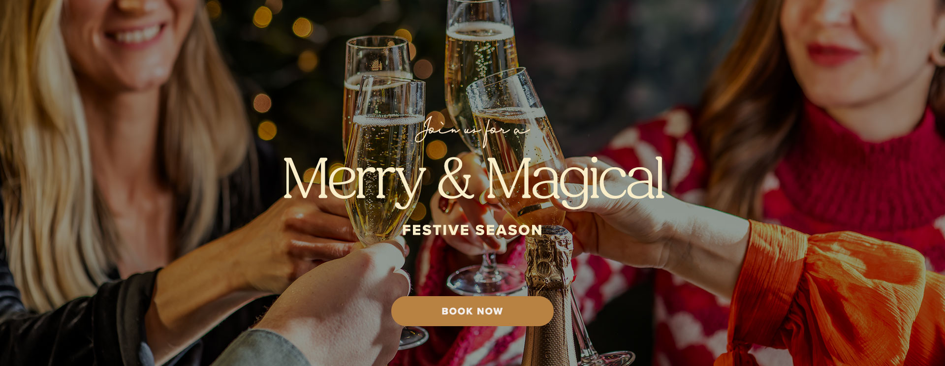 Christmas 2025 at Hagley